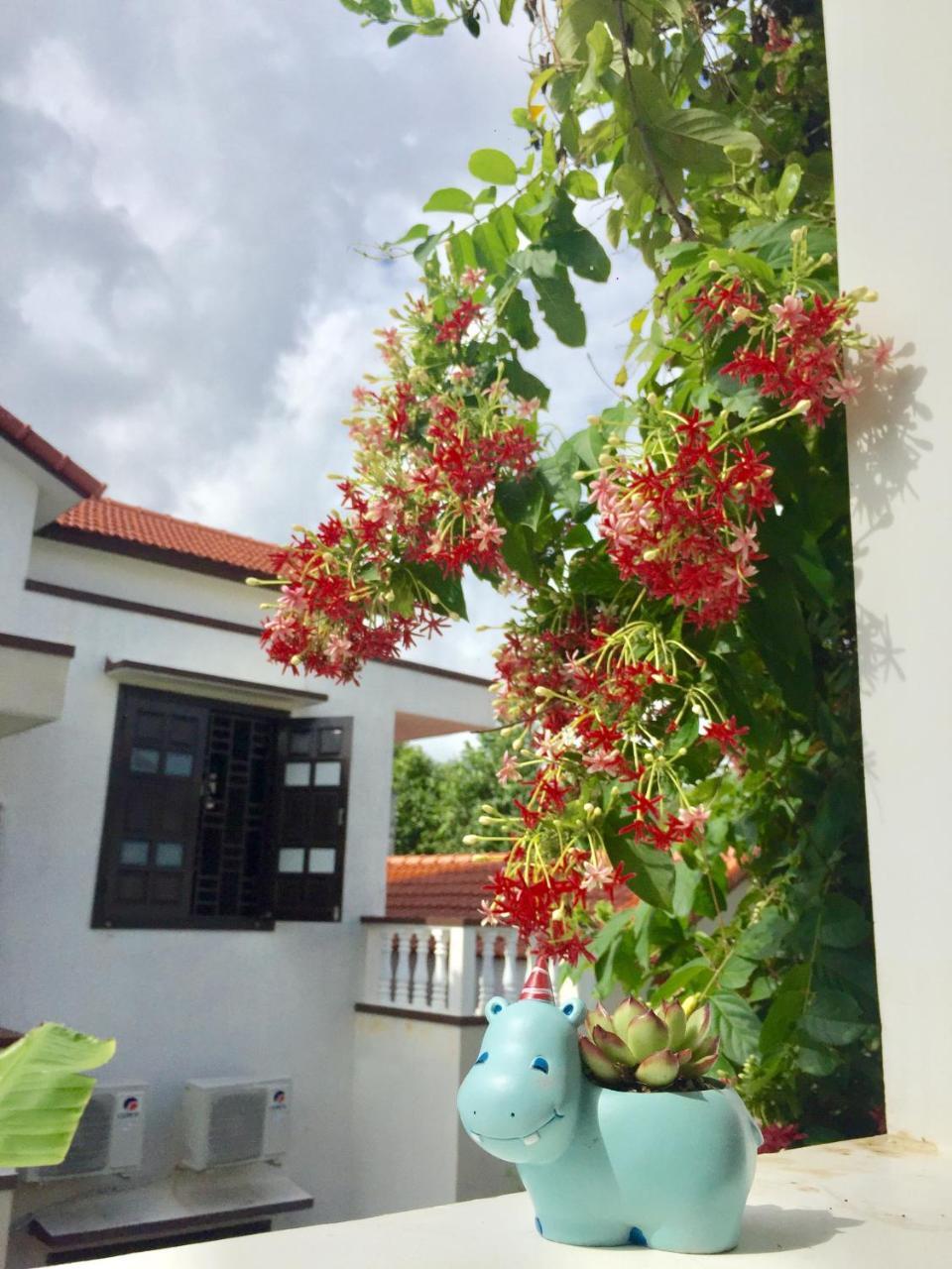 Holyland Homestay Hoi An Dış mekan fotoğraf
