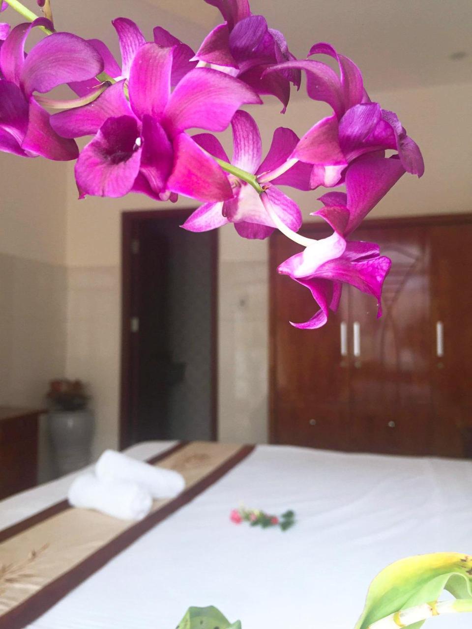 Holyland Homestay Hoi An Dış mekan fotoğraf