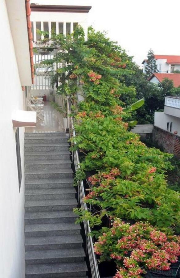 Holyland Homestay Hoi An Dış mekan fotoğraf